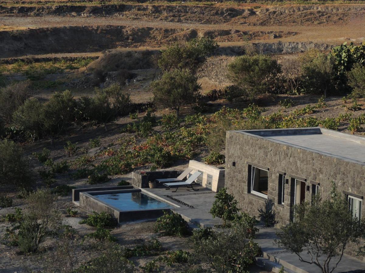 Villa Apaggio Santorini Vourvoúlos エクステリア 写真